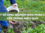 Mách Bạn Một Số Kinh Nghiệm Bón Phân Cho Cây Trồng Hiệu Quả