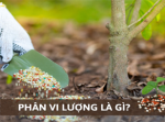 Phân Vi Lượng Là Gì? Thành Phần Và Lợi Ích Của Phân Vi Lượng Cho Cây Trồng