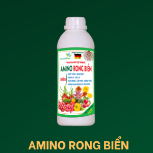 amino-rong-bien-1lit