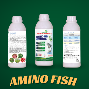 amino-fish