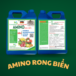 amino-rong-bien-5-lit