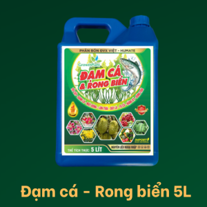 dam-ca-rong-bien