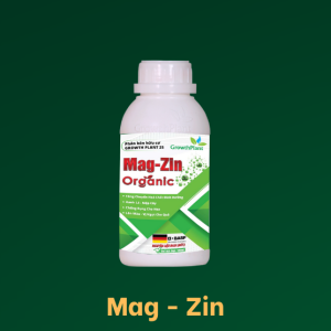 mag-zin