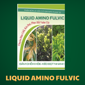 growth-plant-25-liquid-amino-fulvic-giup-dam-choi-khoe-keo-dot-nhanh