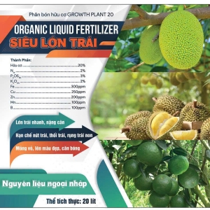 growth-plant-20-sieu-lon-trai