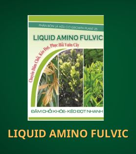 GROWTH PLANT 25 LIQUID AMINO FULVIC