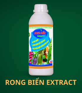 RONG BIỂN EXTRACT 
