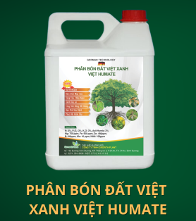 PHÂN BÓN ĐẤT VIỆT XANH - VIỆT HUMATE