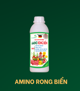 AMINO RONG BIỂN 1 LÍT 