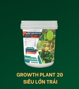 GROWTH PLANT 20 -SIÊU LỚN TRÁI