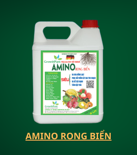 AMINO RONG BIỂN ( 5 Lít )