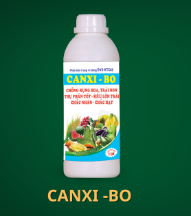 CANXI - BO 