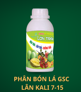 PHÂN BÓN LÁ GSC LÂN KALI 7-15