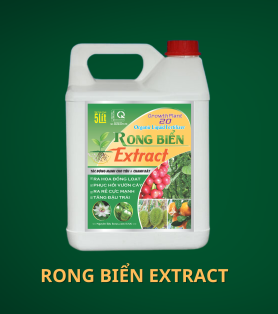 RONG BIỂN EXTRACT 5L