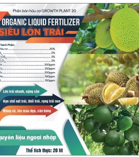 GROWTH PLANT 20 -SIÊU LỚN TRÁI